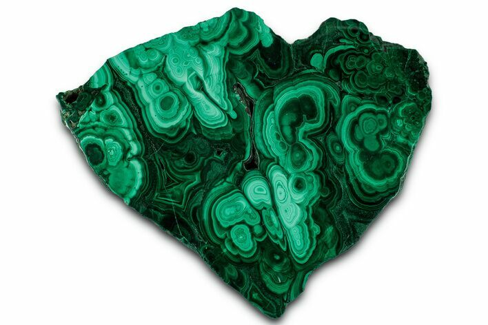 Flowery Polished Malachite Slab - DR Congo #350826
